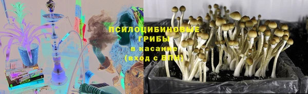 а пвп мука Богородицк