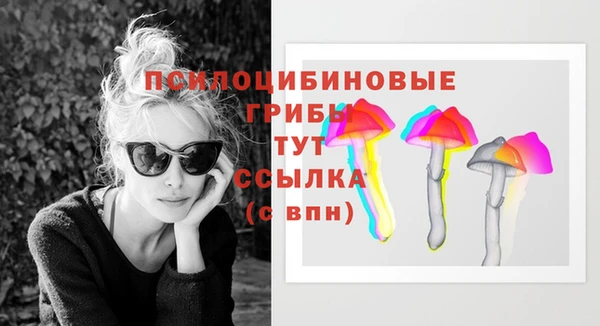 метадон Богданович