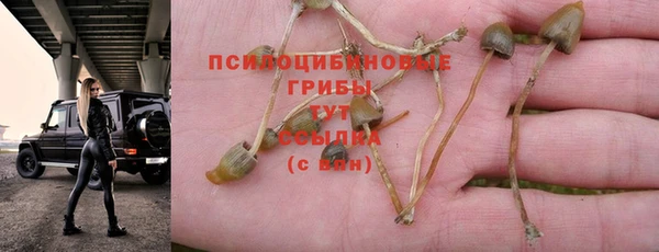 метадон Богданович