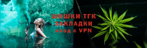 метадон Богданович