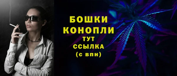метадон Богданович