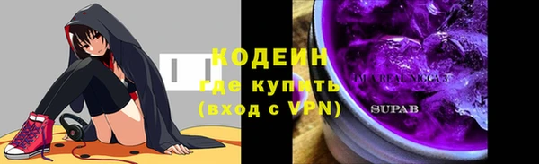 метадон Богданович