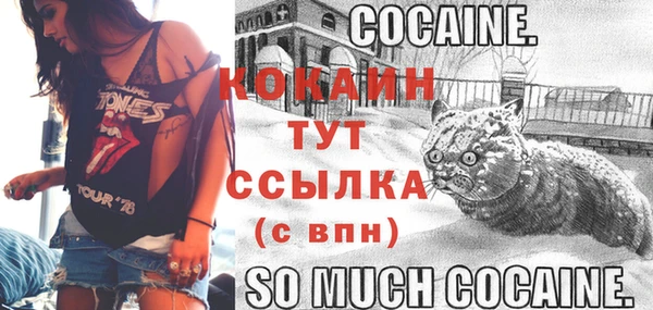 метадон Богданович