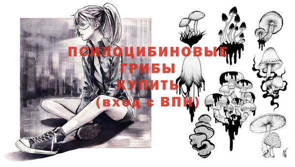 метадон Богданович