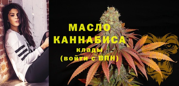 метадон Богданович