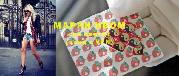 метадон Богданович