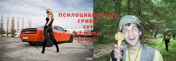 а пвп мука Богородицк