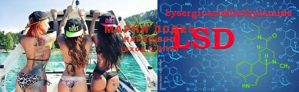 метадон Богданович
