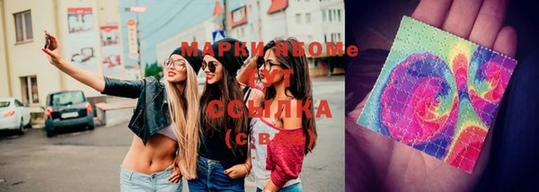 метадон Богданович