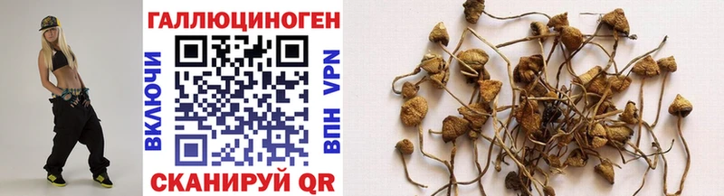 Галлюциногенные грибы ЛСД  Невель 